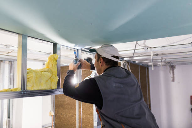 Best Types of Insulation in King Cove, AK
