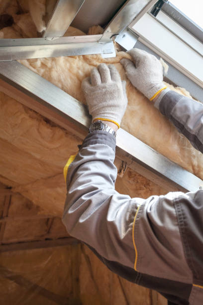 Best Insulation for Specific Applications in King Cove, AK