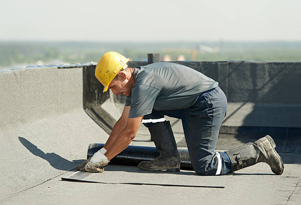Best Residential Insulation in King Cove, AK