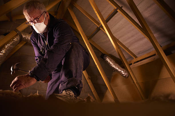 Best Types of Insulation in King Cove, AK